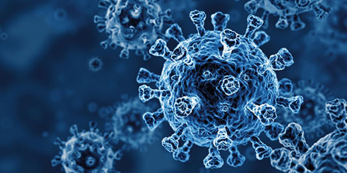 COVID SQL Exploration